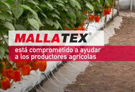 Mallatex